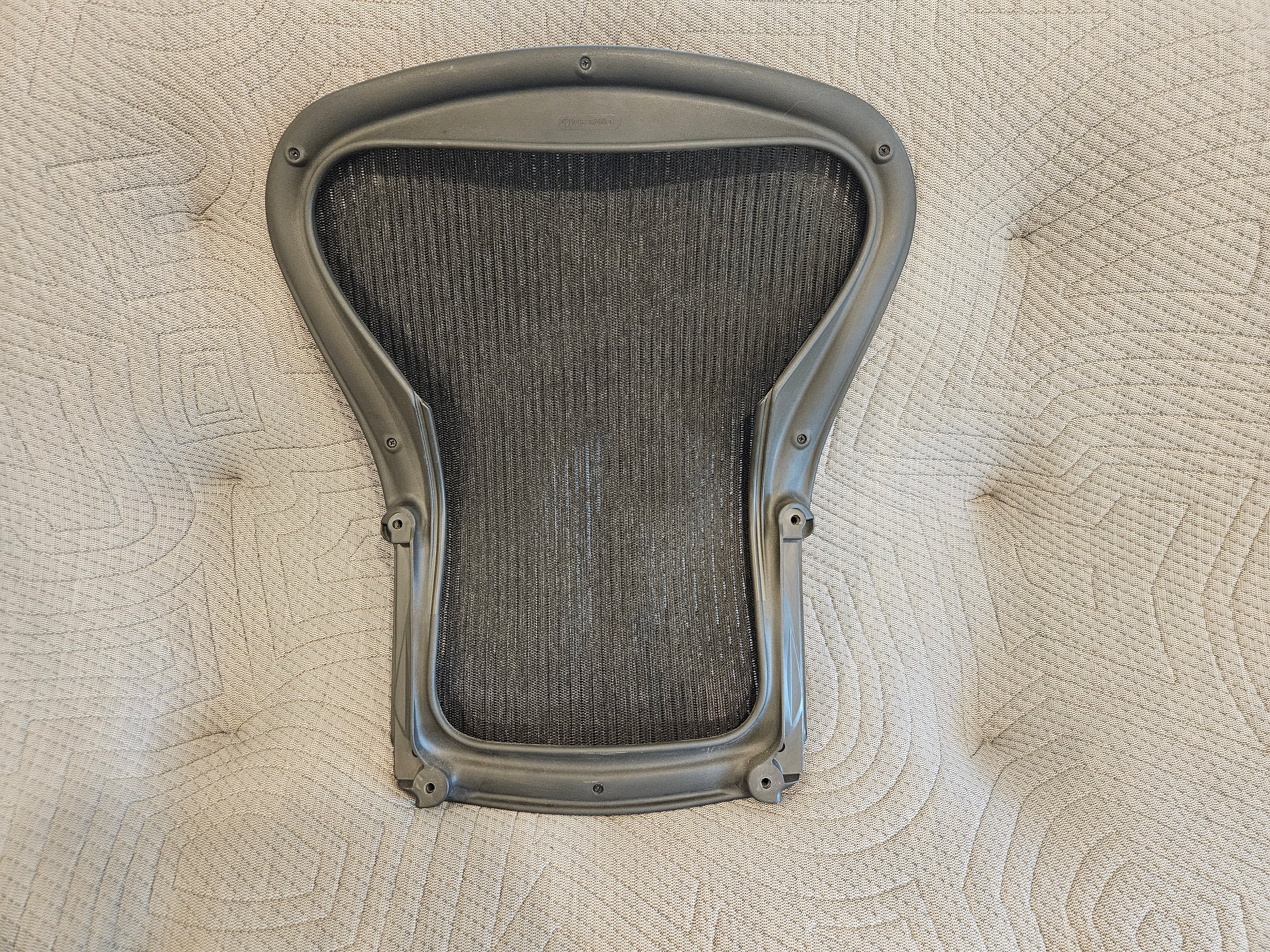 Aeron Classic Back Mesh & Frame (Replacement Part) — Canada | Greener Postures