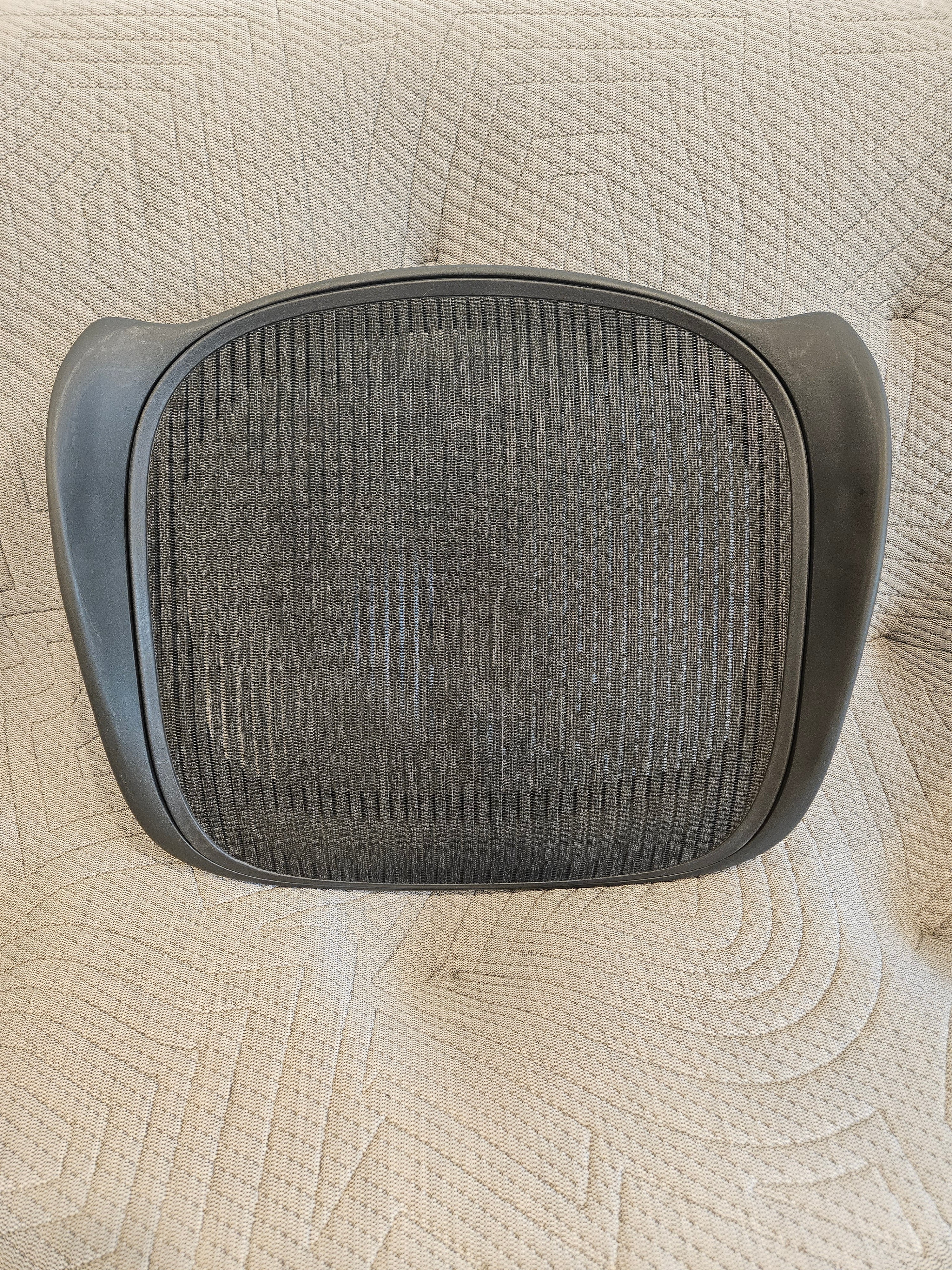 Aeron Classic Seat Mesh & Frame (Replacement Part) — Toronto | Greener Postures