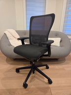 Used Haworth Zody — Toronto Pickup + GTA Delivery | Greener Postures