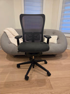 Used Haworth Zody — Toronto Pickup + GTA Delivery | Greener Postures