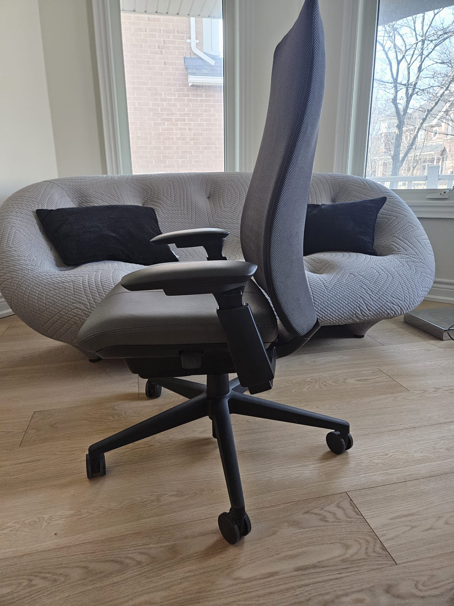 Haworth Fern (New/Open Box) — Toronto & GTA | Greener Postures