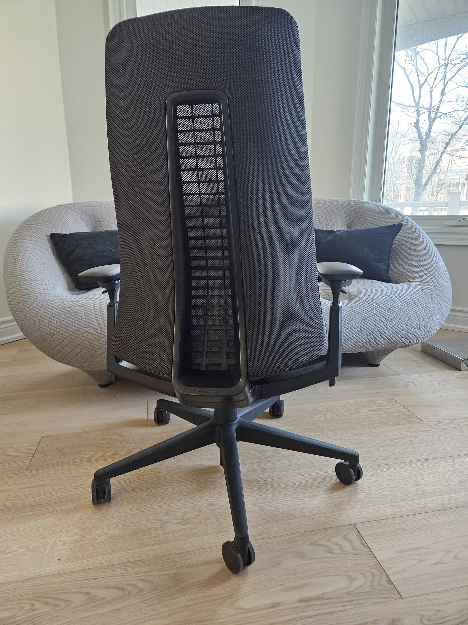 Haworth Fern (New/Open Box) — Toronto & GTA | Greener Postures