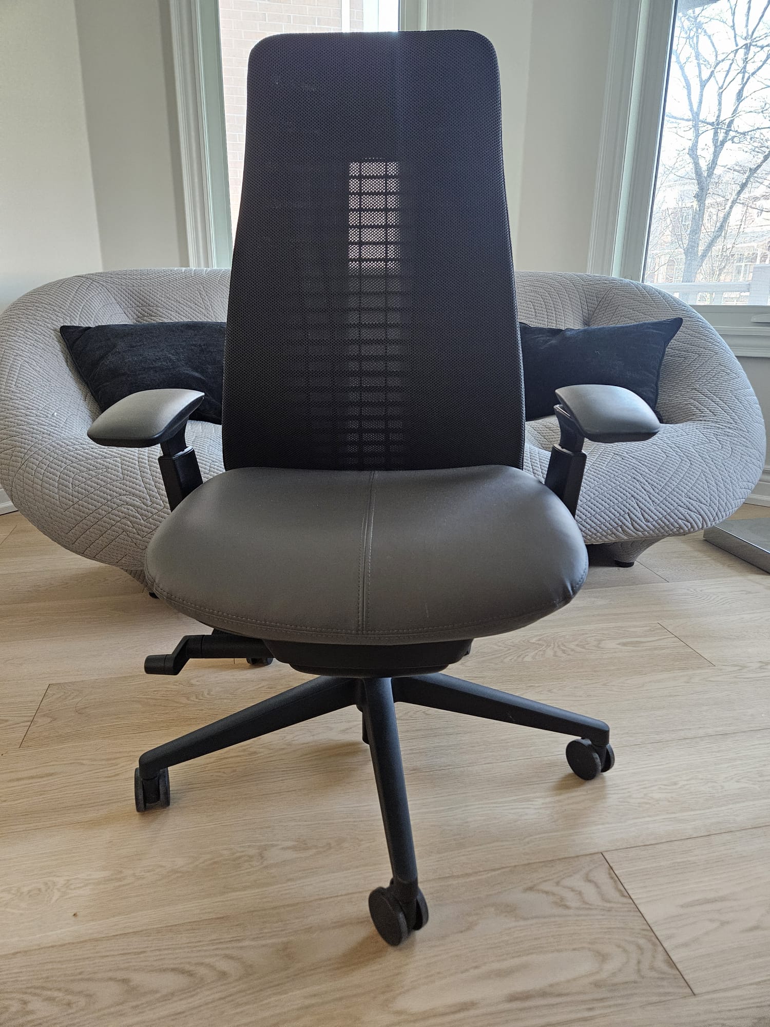 Haworth Fern (New/Open Box) — Toronto & GTA | Greener Postures