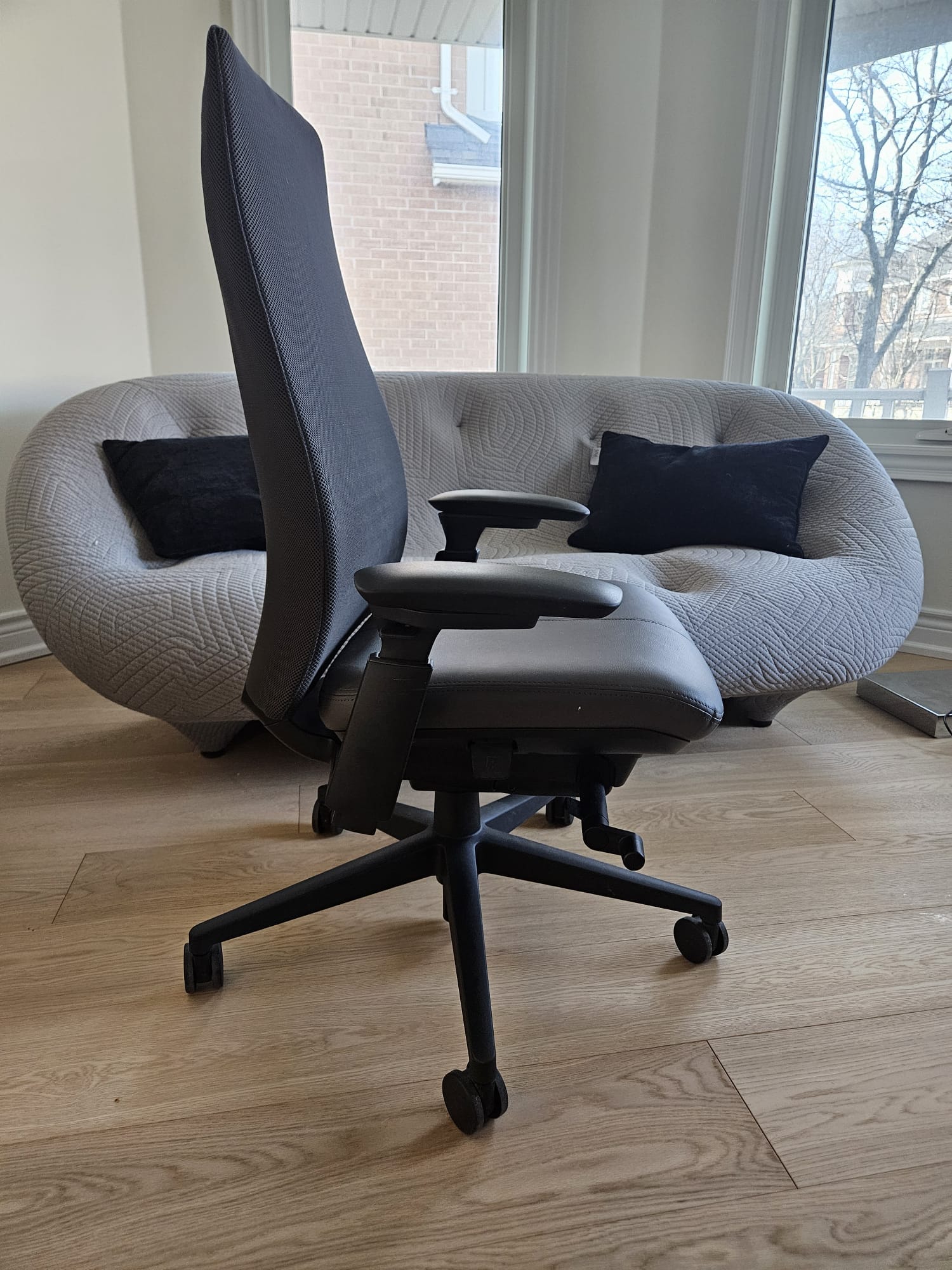 Haworth Fern (New/Open Box) — Toronto & GTA | Greener Postures